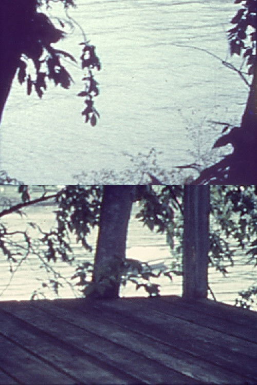 Silently, Bearing Totem of a Bird (1962) poster