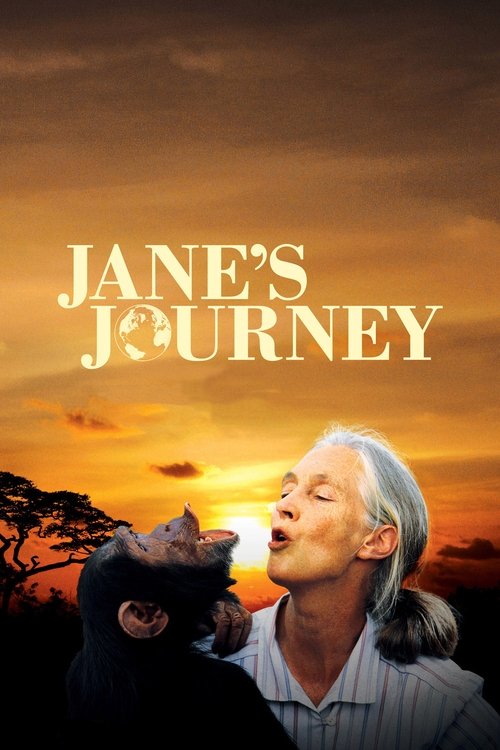 Jane's Journey (2011) poster