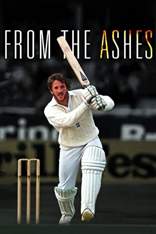 From the Ashes (2011) poster