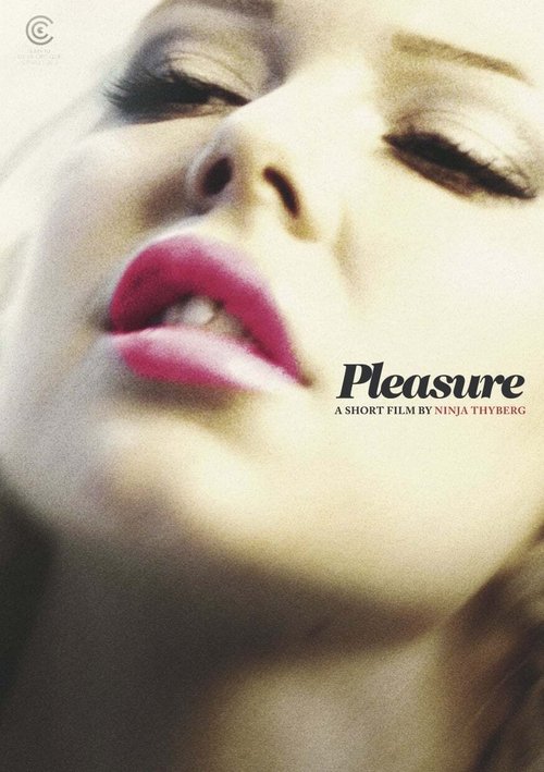 Pleasure (2013) poster