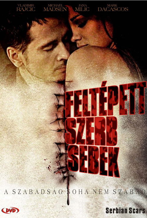 Serbian Scars (2009) poster