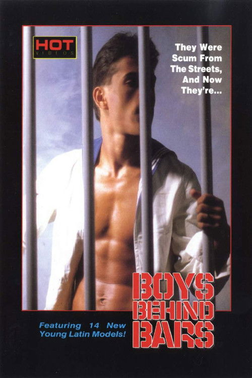 Boys Behind Bars (1988) poster