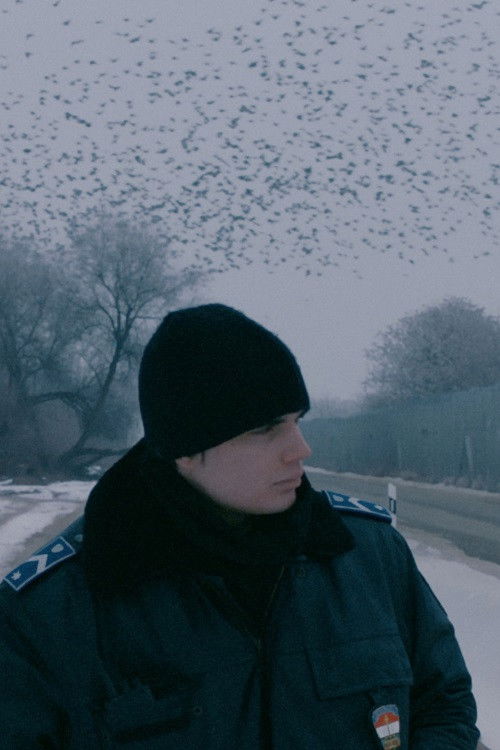 Everything Alright (2018) poster