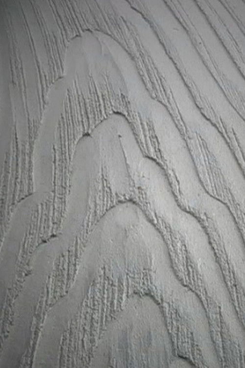 Adamski (2008) poster