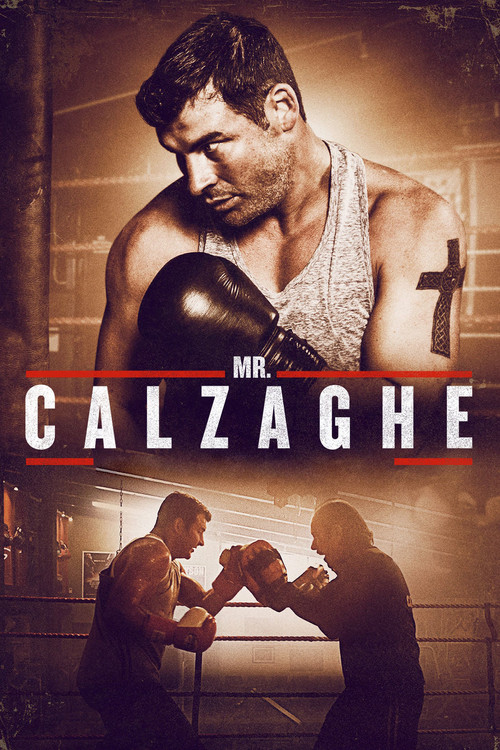 Mr. Calzaghe (2015) poster