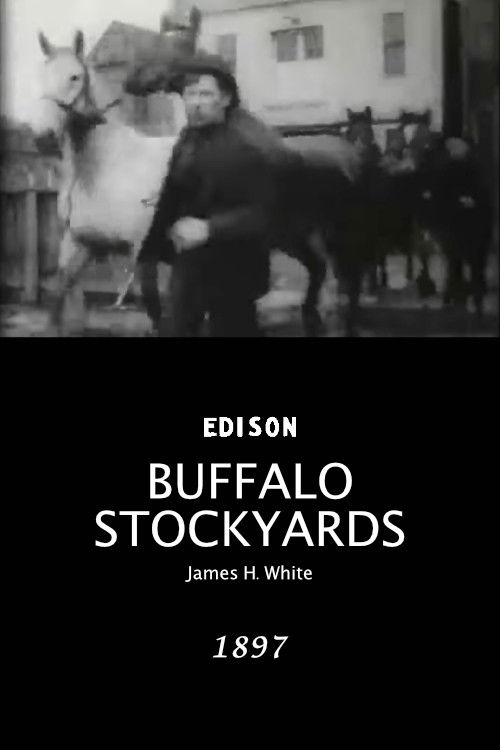 Buffalo Stockyards (1897) poster