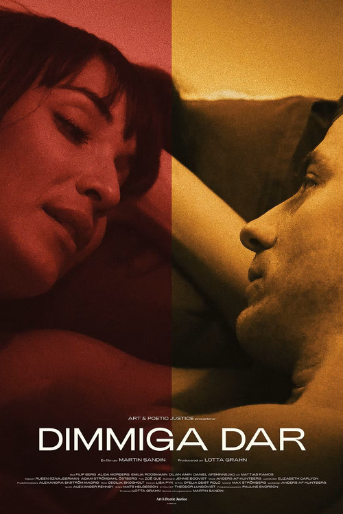 Dimmiga dar (2018) poster