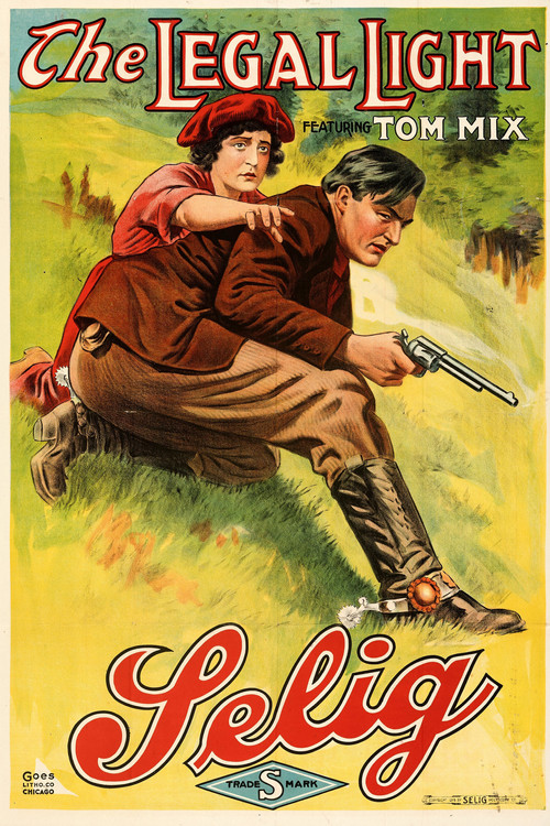 The Legal Light (1915) poster