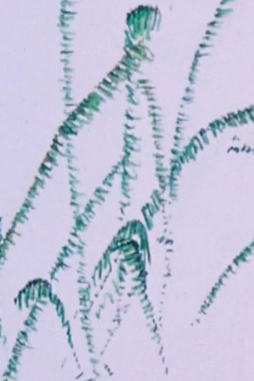 How the Frog’s Eye Sees (1984) poster