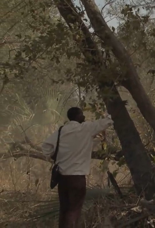 Regulado (2014) poster