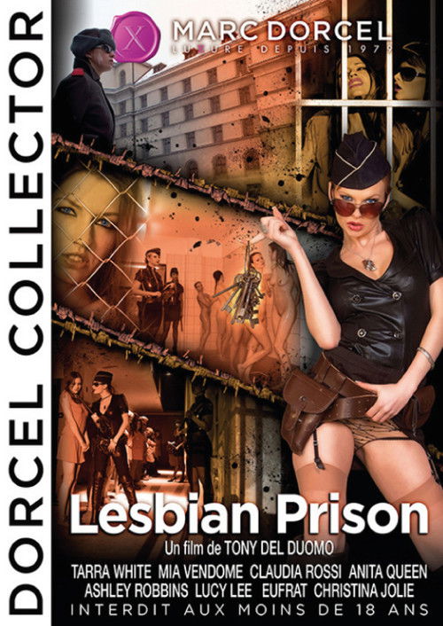 Lesbian Prison (2009) poster