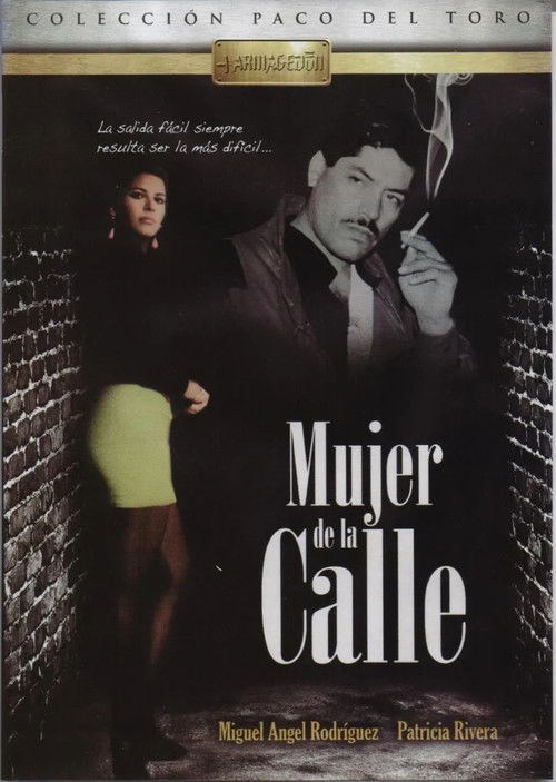 Mujer de la calle (1994) poster