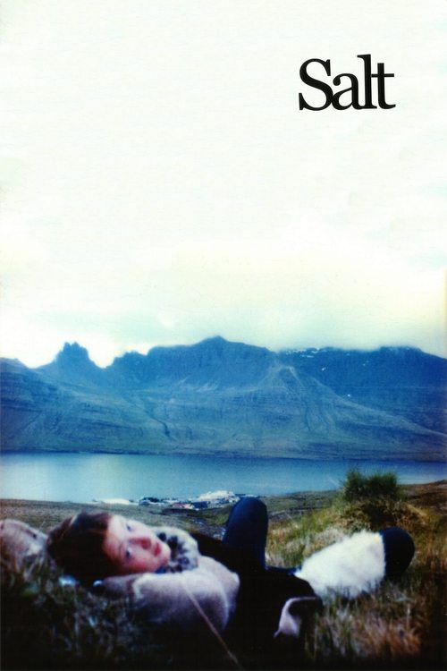 Salt (2003) poster