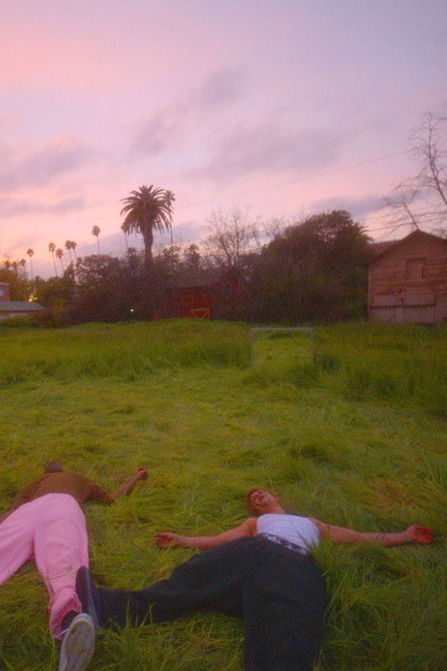 We Hold Where Study (2017) poster