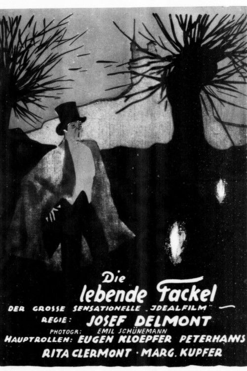 Die lebende Fackel (1920) poster