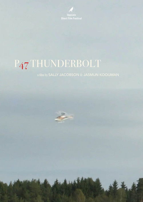 P47 Thunderbolt (2016) poster
