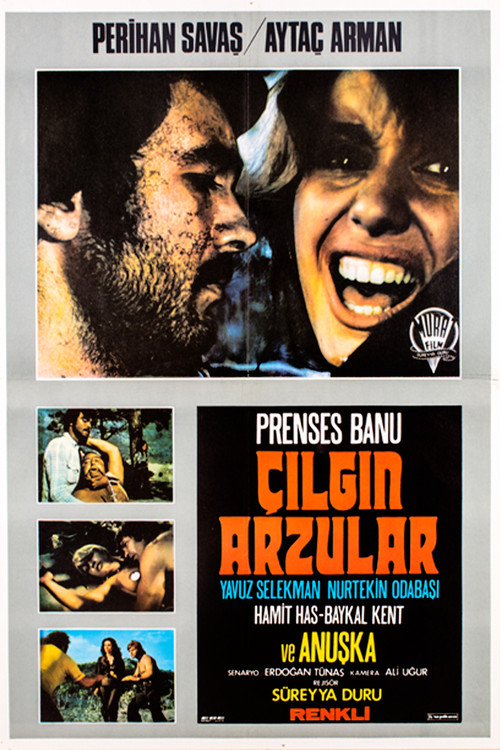 Çılgın Arzular (1974) poster