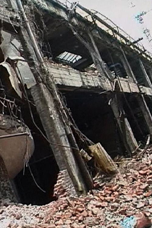 ArmandoCeste2024 poster