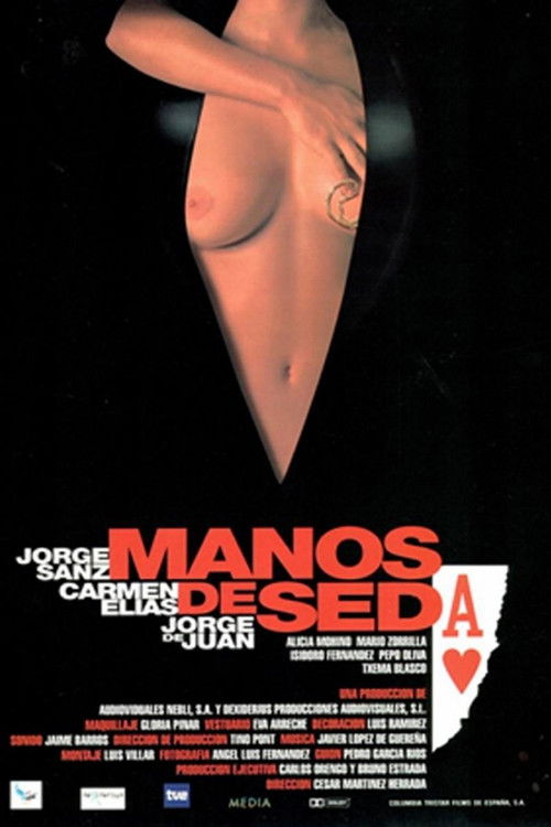 Manos de seda (1999) poster