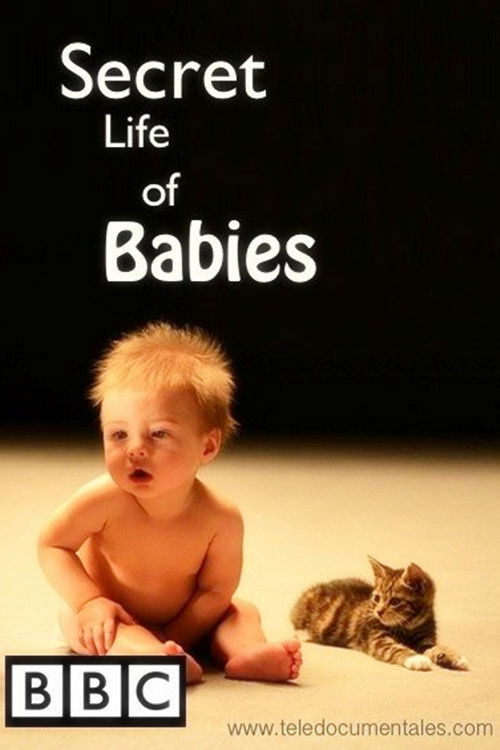Secret Life of Babies (2014) poster
