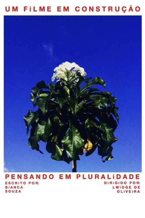 Pensando em Pluralidade (2019) poster