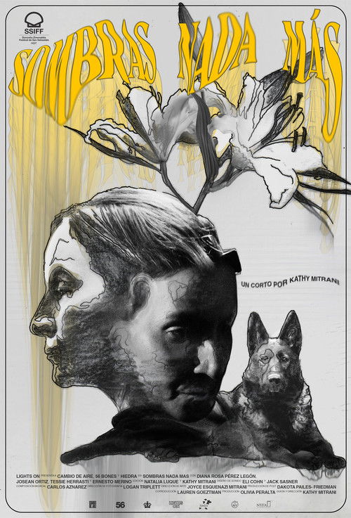 Nothing but Shadows (2024) poster