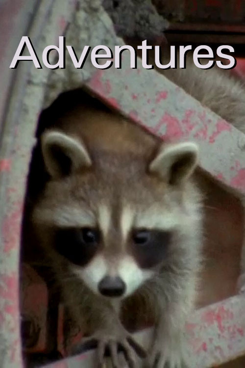 Adventures (1968) poster