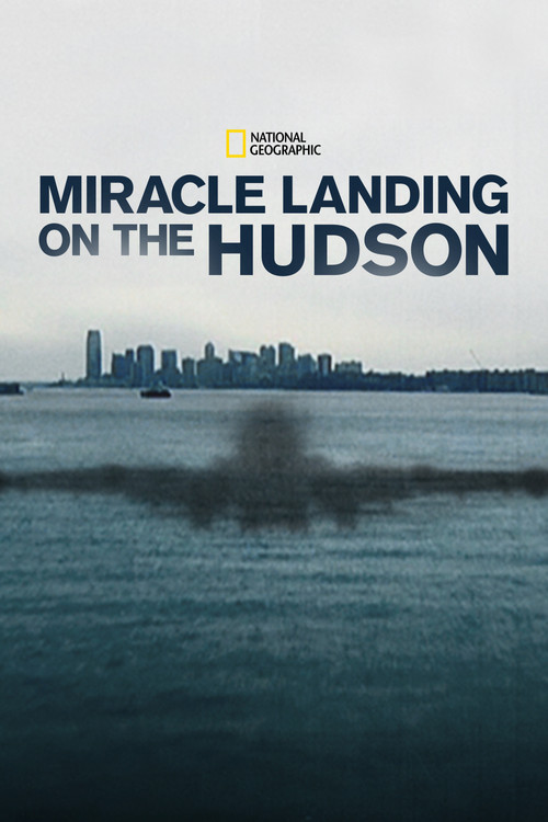 Miracle Landing on the Hudson (2014) poster