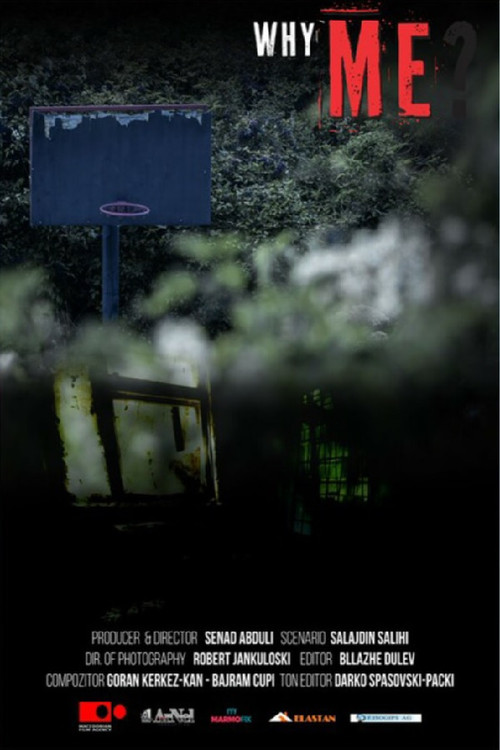Why Me? (2018) poster