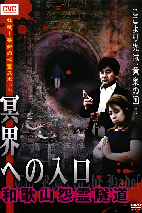 Intense! Forbidden Haunted Spots - Gateway to the Underworld: Wakayama Resentful Spirit Tunnel (2008) poster