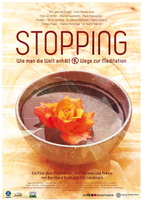STOPPING – wie man die Welt anhält (2015) poster
