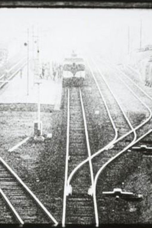 White Dust from Mongolia poster