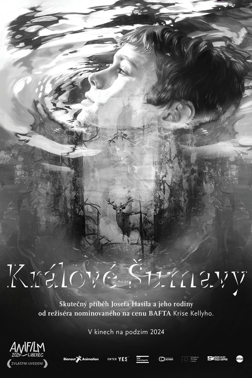 Králové Šumavy (2024) poster