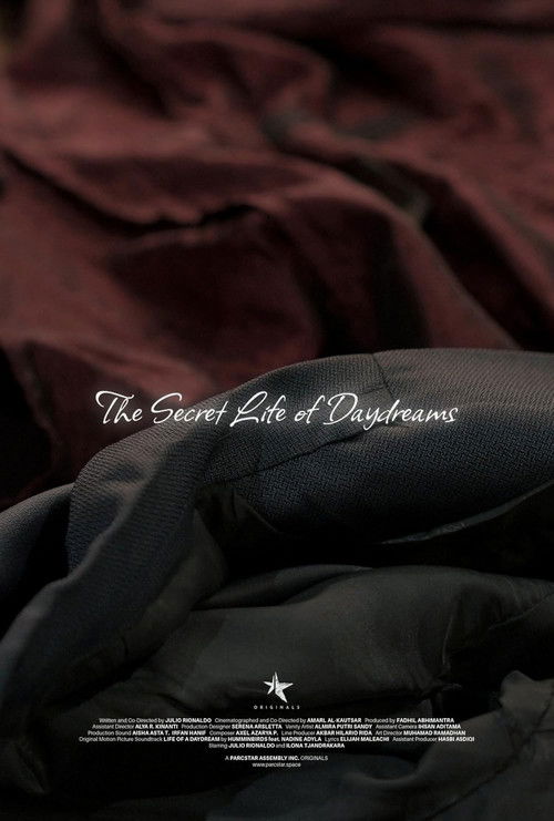 The Secret Life of Daydreams (2024) poster
