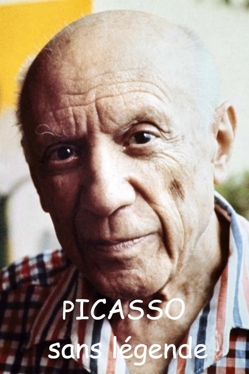 Picasso sans légende (2023) poster