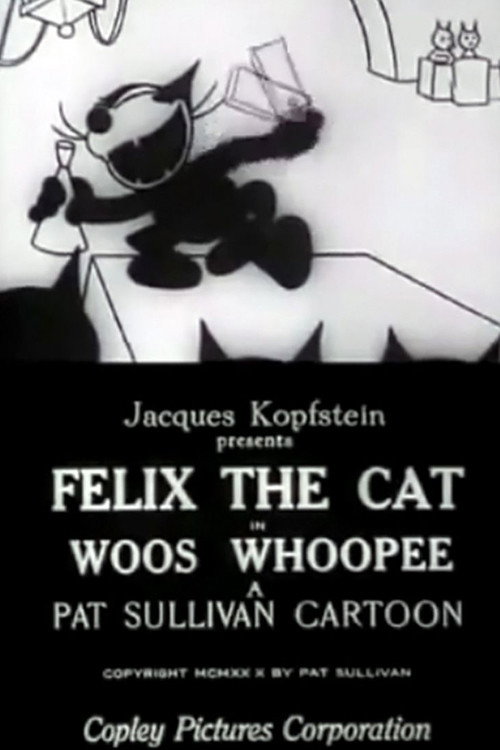 Woos Whoopee (1928) poster