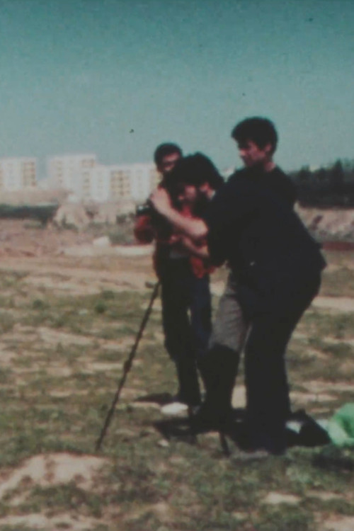 De la vie des amateurs (1982) poster