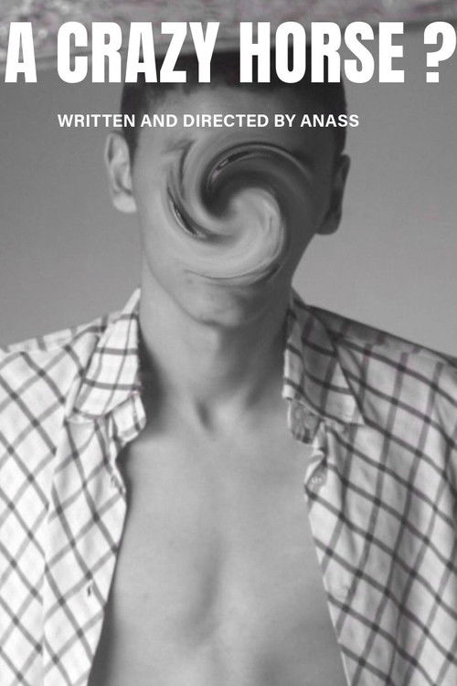 A Crazy Horse ? (2023) poster