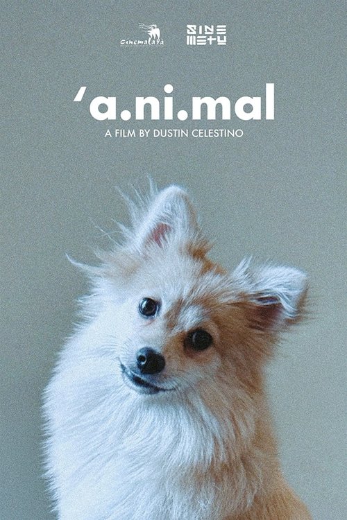 'a.ni.mal (2026) poster