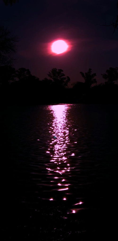 Uma Carta Alienígena (2020) poster