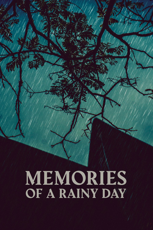 Memories of a Rainy Day (2023) poster