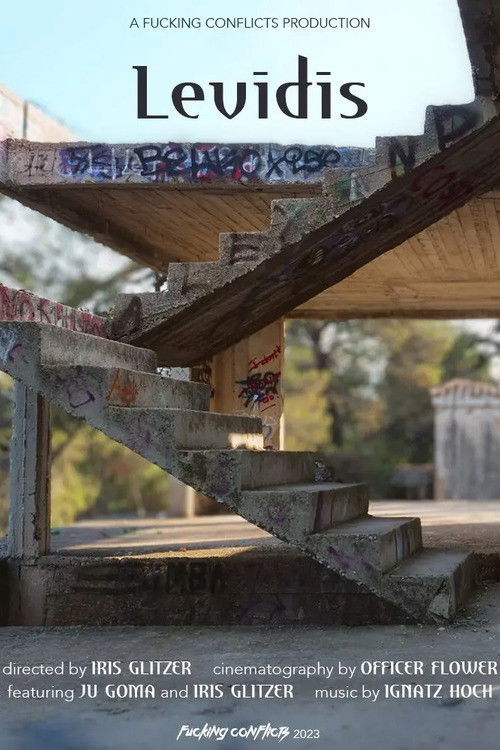 Levidis (2024) poster