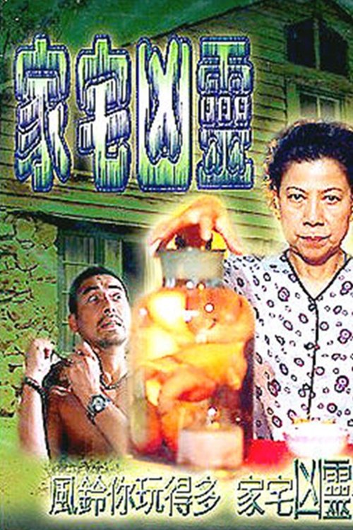 Ghost in the Family (2002) poster