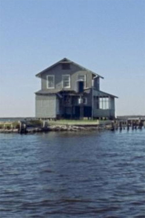 Life on the Mississippi (2019) poster