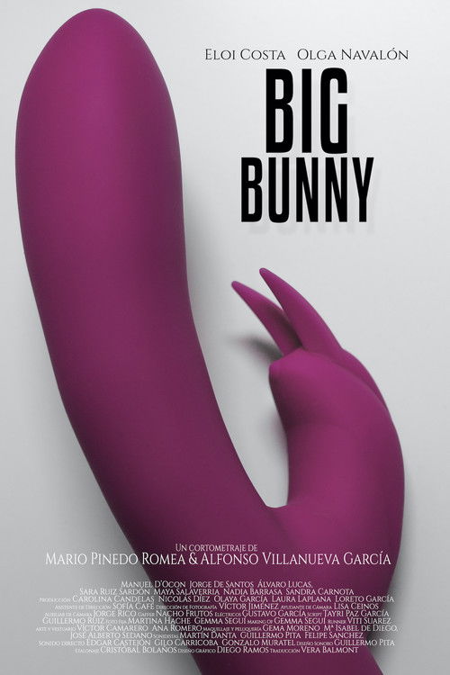 Big Bunny (2018) poster