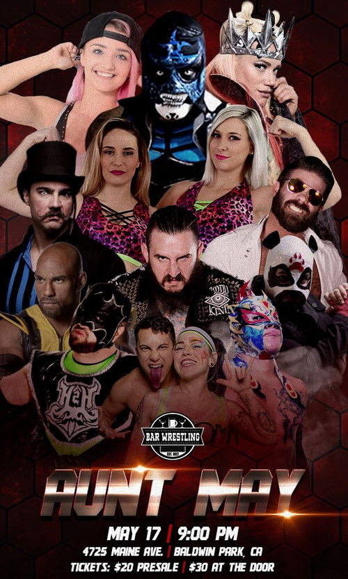 Bar Wrestling 12: Aunt May (2018) poster