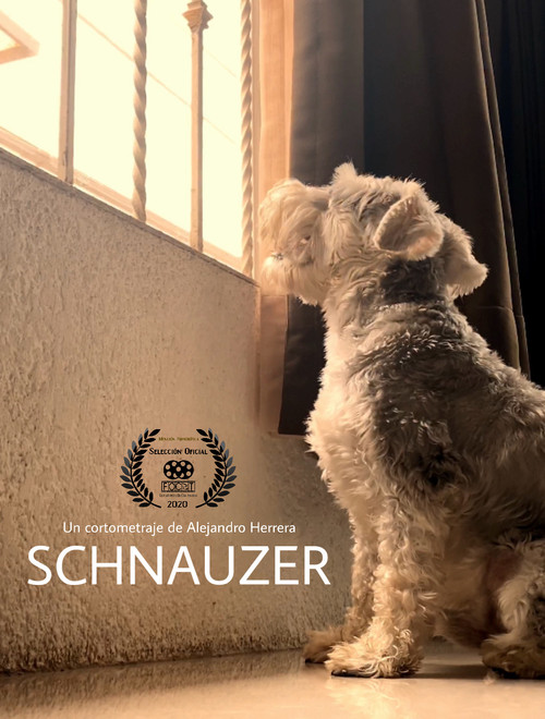 Schnauzer (2020) poster