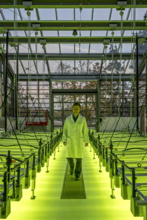 The Two Faces of Tomorrow (2021) poster