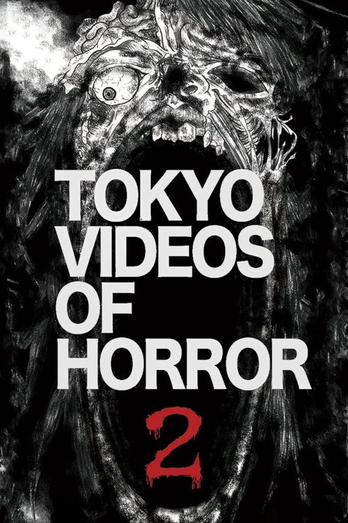 Tokyo Videos of Horror 2 (2012) poster