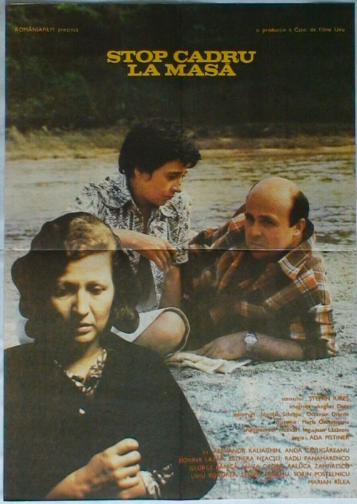Snapshot Around the Family Table (1980) poster